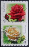 [Flowers - Roses, type DFU1]