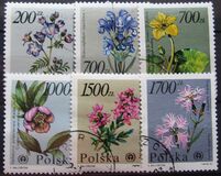 [Protected Plants and Flowers from the Botanical Gardens of Warsaw University, type DDM]
