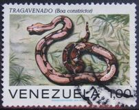 [Snakes, 类型 BUC]