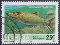 [Freshwater Angling, տեսակ BB]