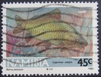 [Freshwater Angling, տեսակ BC]