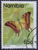 [Butterflies, type CM]