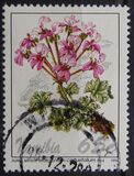 [Flowers, Tüüp DD]