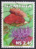 [Sea Anemone, type ND]