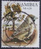 [Weaver Birds of Namibia, 類型 VV]