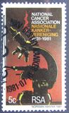 [The 50th Anniversary of National Cancer Association, type SE]