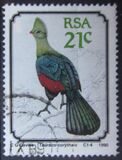 [Birds, סוג AAC]