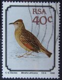 [Birds, סוג AAE]