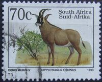 [Endangered Fauna, type ADY]