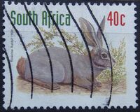 [Endangered Fauna, type ALN]