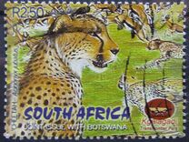 [Kgalagadi Transfrontier Wildlife Park, jenis AUV]