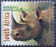 [Wildlife - The Big 5, Self-Adhesive and Imperforated on 1 or 2 Sides, Typ AUQ]