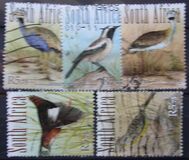 [Grassland Birds, tip BRN]
