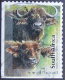 [Fauna - The Big Five. Self Adhesive Stamps, 類型 BYJ]