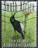 [South African Birds, type BYO]