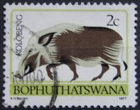 [Animal Totems, type B]