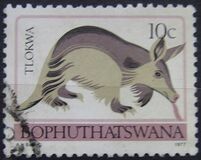 [Animal Totems, type J]