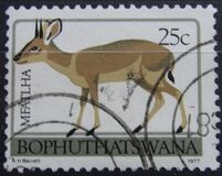 [Animal Totems, type M]