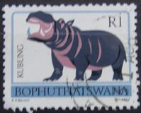 [Animal Totems, type P]