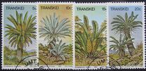 [Palm Ferns, type BT]