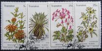 [Medicinal Plants, Tip CK]