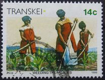 [Xhosa Culture, 类型 GC]