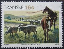 [Xhosa Culture, type GT]