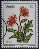 [Flowers, tyyppi E]
