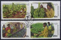 [Banana Cultivation, тип AD]
