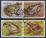 [Frogs, type BN]