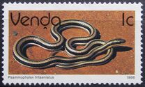 [Reptiles, Tipe DP]