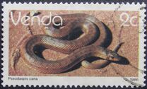 [Reptiles, Tipe DQ]