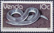 [Reptiles, Tipe DY]