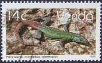 [Reptiles, Tipe EG]