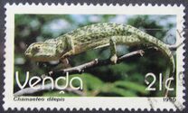 [Reptiles, 类型 GZ]