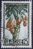 [Fruits of the Land, tyyppi CM]
