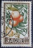 [Fruits of the Land, tyyppi CN]