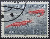 [Shrimps, type CB]