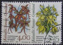 [Arctic Orchids, type GJ]