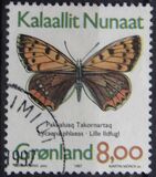 [Butterflies, タイプ IC]
