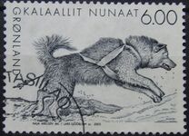 [Sledge Dogs, Tipi LM]