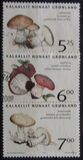 [Edible Mushrooms in Greenland, type MW]