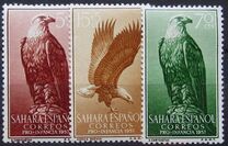 [Child Welfare - Eagles, type AP]