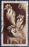 [Flora y fauna. , tipo AD1]