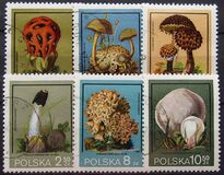 [Protected Poisonous Mushrooms, type CHV]