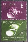 [Stamps for Domestic Mail: Shells of Snails, type DDD]