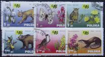 [The Convention on International Trade in Endangered Species of Wild Fauna and Flora (CITES), тип EBC]