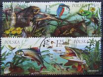 [Fauna and Flora of Fresh Water, סוג FQE]
