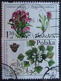 [Protected Polish Flora, jenis FVF]