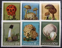 [Protected Poisonous Mushrooms, tyyppi CHV]